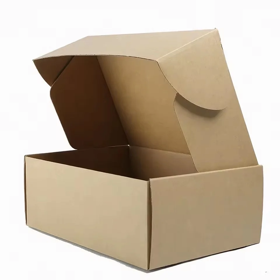 Large E-Flute Corrugated Mailer