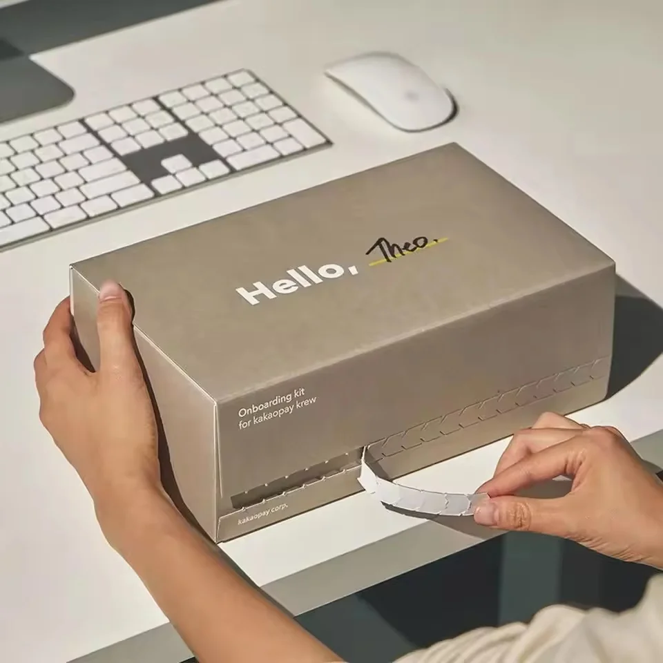 Self-Stick Zip-Open Airplane Mailer