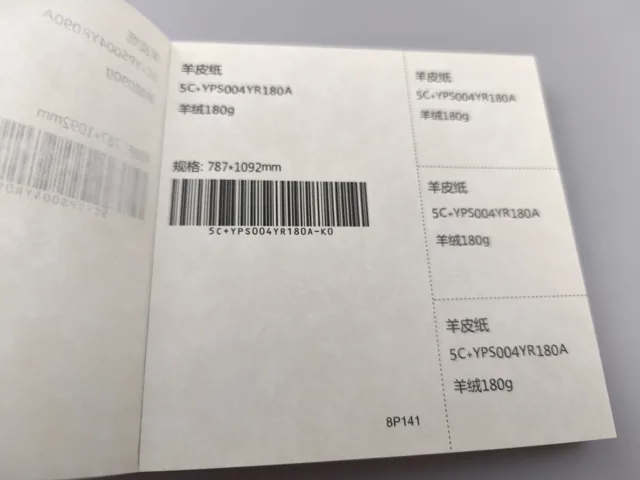 Pale patterned sheet; photographed paper sample book with original labels